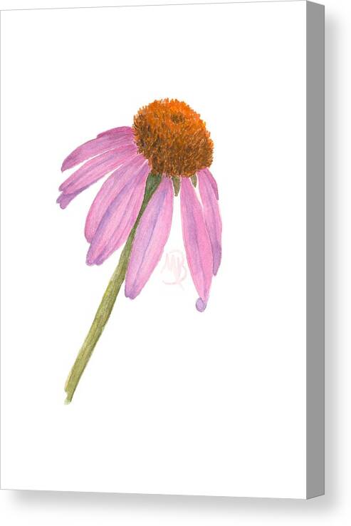 Flower Canvas Print featuring the painting Coneflower by Monica Burnette