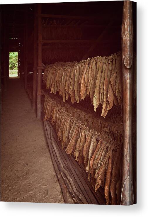 Joan Carroll Canvas Print featuring the photograph Cuban Tobacco Shed by Joan Carroll