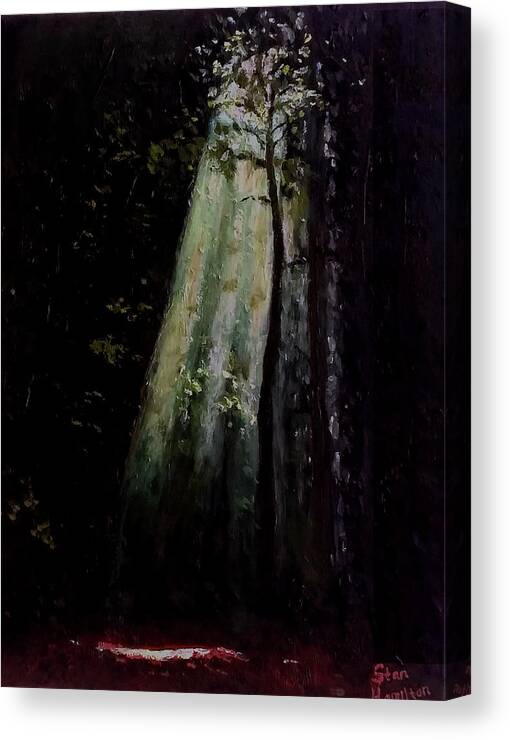 Dark Canvas Print featuring the painting Dark Forest by Stan Hamilton