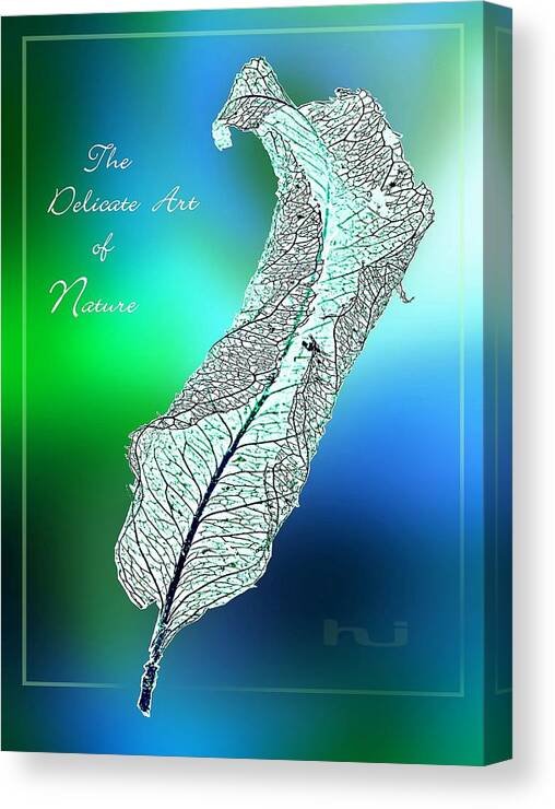 Leaf Canvas Print featuring the mixed media Delicate Art by Hartmut Jager