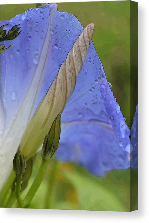 Macro Canvas Print featuring the photograph Delicate Toxin by Char Szabo-Perricelli