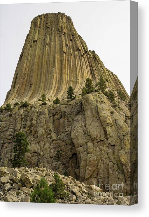 Wyoming Canvas Print featuring the photograph Devils Tower 5 by Tracy Knauer