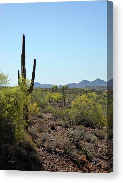 Arizona Canvas Print featuring the photograph Distant Hills by Gordon Beck