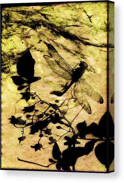 Dragonfly Canvas Print featuring the photograph Dragonfly Daze by Diana Ludwig