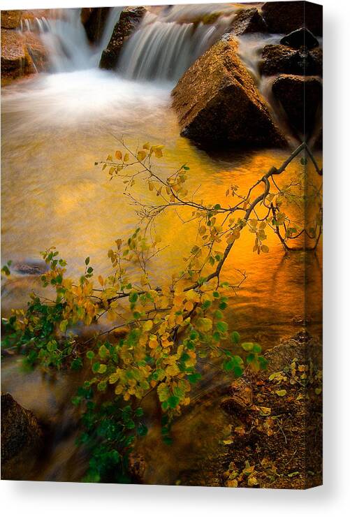 Waterfalls Canvas Print featuring the photograph Dreams by Tim Reaves