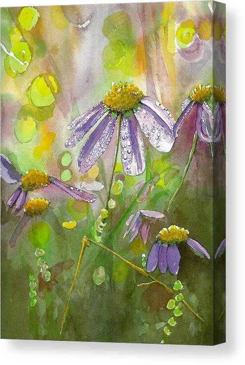 Watercolor Canvas Print featuring the painting Due today z - Dew to Daisy by Lynn Babineau