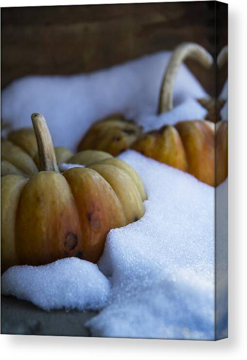 Still Life Canvas Print featuring the photograph Early Snow by Michael Friedman