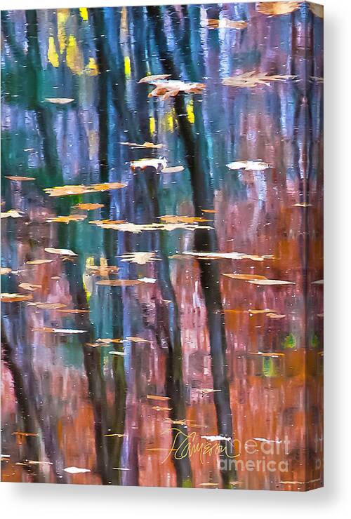 Abstract Canvas Print featuring the photograph Enders Reflection by Tom Cameron