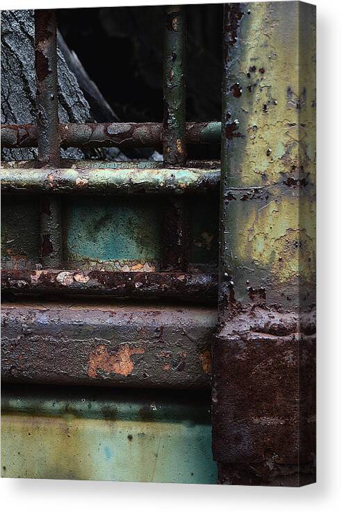 Jamestown Canvas Print featuring the photograph Erasure of Habitat by Char Szabo-Perricelli