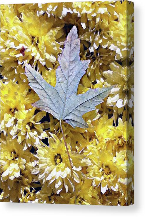 Mums Canvas Print featuring the photograph Fallen leaf on mums by Steve Karol