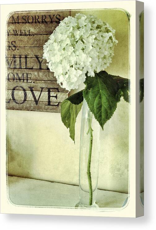 Hydrangea Canvas Print featuring the photograph Family, Home, Love by Jill Love