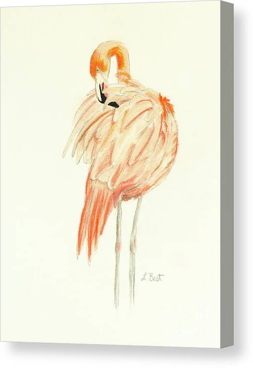 Flamingo Canvas Print featuring the painting Flamingo by Laurel Best