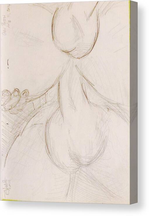 Gay Xxx Pencil Drawings - Anal Pencil Drawings | Sex Pictures Pass