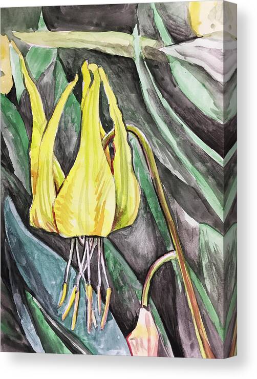 Wildflowers Canvas Print featuring the painting Glacier Lily by Aaron Spong