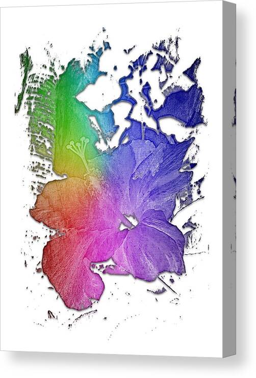 Cool Canvas Print featuring the photograph Hibiscus S D Z 2 Cool Rainbow 3 Dimensional by DiDesigns Graphics