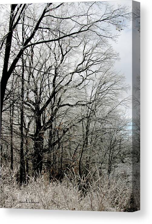  Canvas Print featuring the photograph Ice trees by Mark Alesse