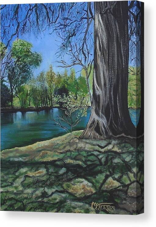 Texas Landscape Canvas Print featuring the painting In the Shade by Melissa Torres