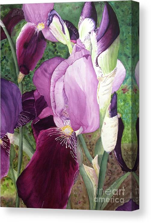 Iris Canvas Print featuring the painting Iris by Bonnie Young
