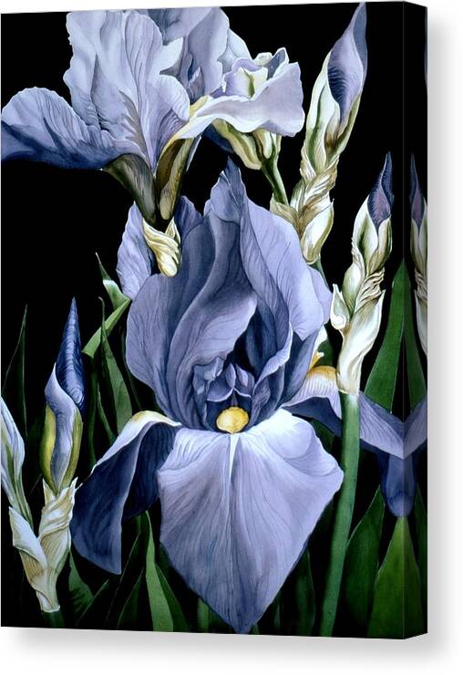 Garden Canvas Print featuring the painting Irises in Blue by Alfred Ng