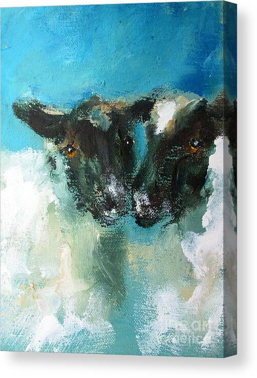 Sheep Canvas Print featuring the painting paintings of Irish sheep by Mary Cahalan Lee - aka PIXI