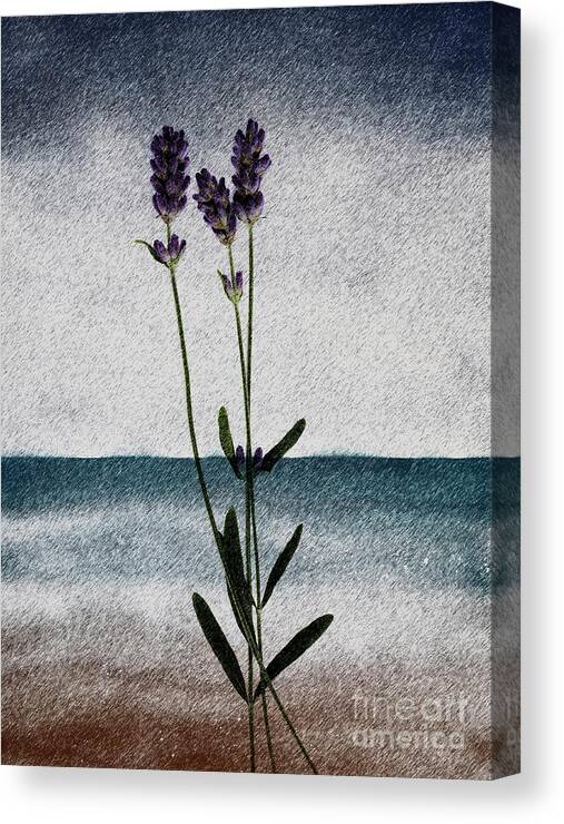 Sea Scape Canvas Print featuring the painting Lavender Ocean Breath by Shelley Myers