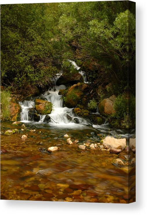 Water Canvas Print featuring the photograph Little Big Creek by Scott Read