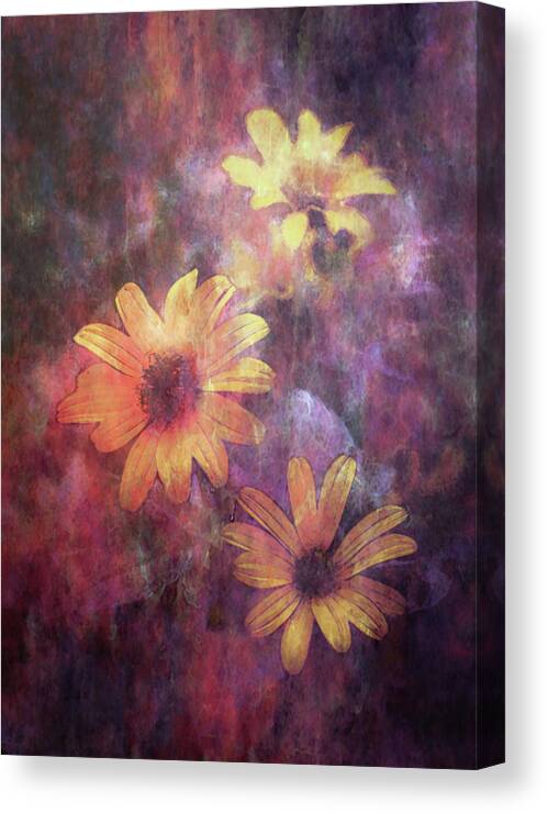 Lost Canvas Print featuring the photograph Lost Glowing Wildflowers 5474 LDP_2 by Steven Ward