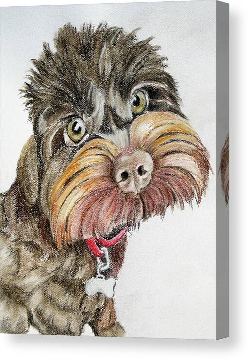 Cockerpoo Canvas Print featuring the pastel Maisie Moo by Teresa Smith