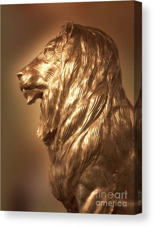 Animal Canvas Print featuring the photograph MGM Lion Profile by Linda Phelps