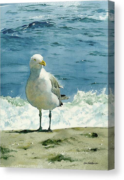 #faatoppicks Canvas Print featuring the painting Montauk Gull by Tom Hedderich