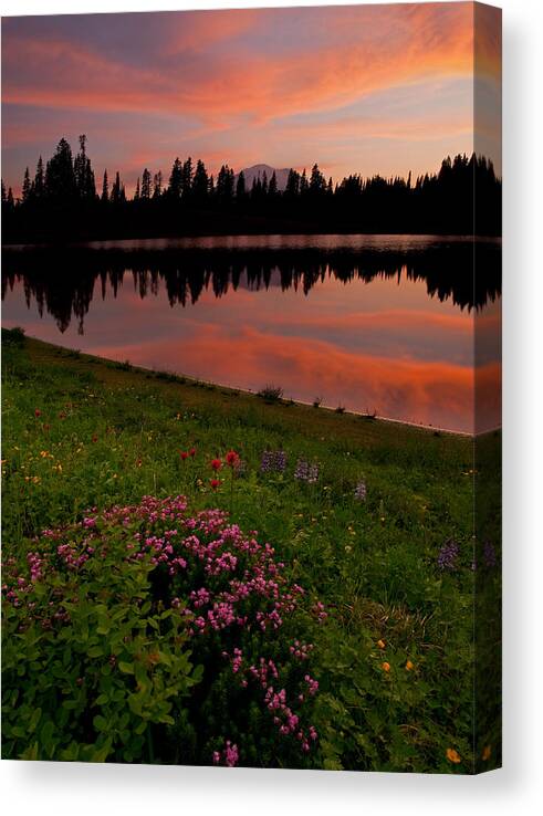 Montain Heather Canvas Print featuring the photograph Mountain Heather Reflections by Michael Dawson