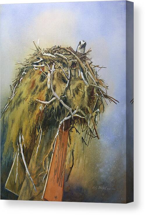 Kris Parins Canvas Print featuring the painting Nesting Osprey by Kris Parins