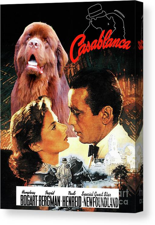 Newfoundland Canvas Print featuring the painting Newfoundland Art Canvas Print - Casablanca Movie Poster by Sandra Sij
