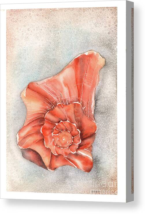 Whelk Canvas Print featuring the painting Old Whelk by Hilda Wagner
