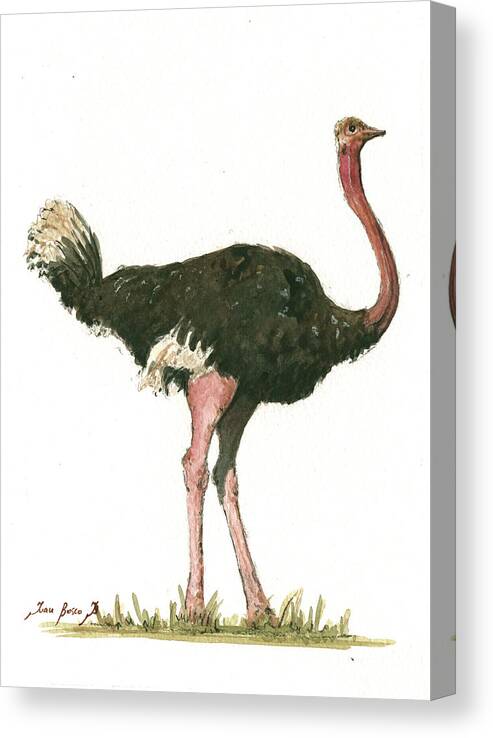 Ostrich Bird Canvas Print featuring the painting Ostrich Bird by Juan Bosco