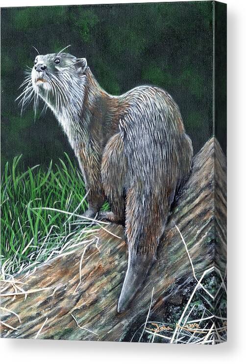 Otter Canvas Print featuring the painting Otter on Branch by John Neeve