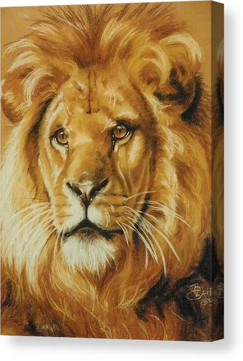 Feline Canvas Print featuring the drawing Patience by Barbara Keith
