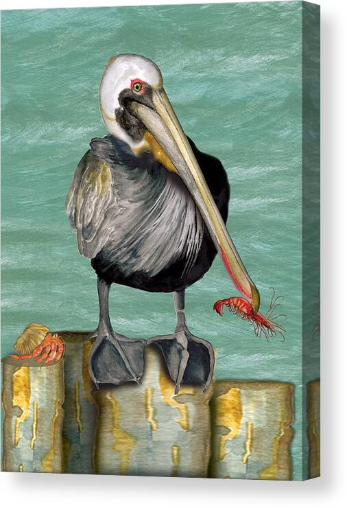 Pelican Canvas Print featuring the painting Pelican with Shrimp by Anne Beverley-Stamps