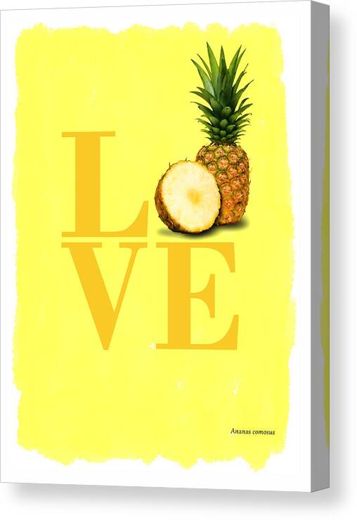 Pineapple Canvas Print featuring the photograph Pineapple by Mark Rogan