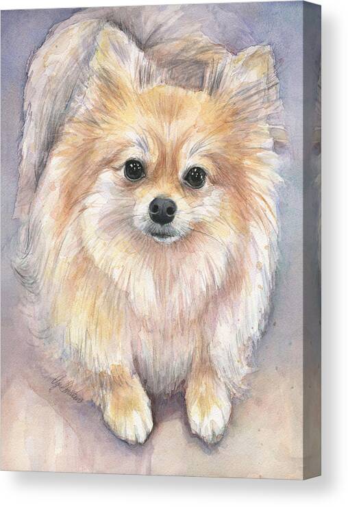 Pomeranian Canvas Print featuring the painting Pomeranian Watercolor by Olga Shvartsur