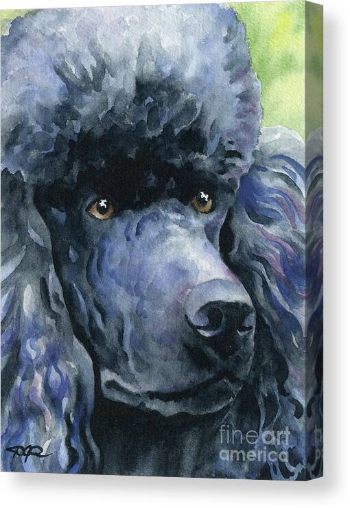 Poodle Canvas Print featuring the painting Poodle by David Rogers