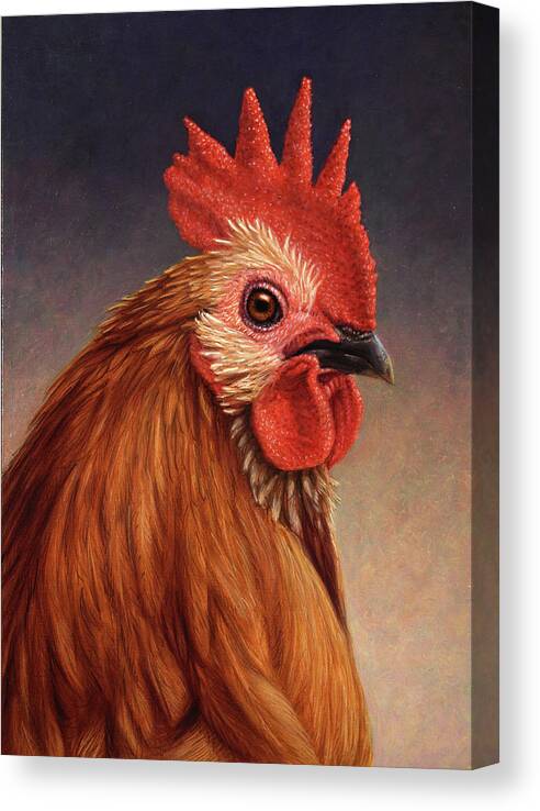 Rooster Canvas Print featuring the painting Portrait of a Rooster by James W Johnson