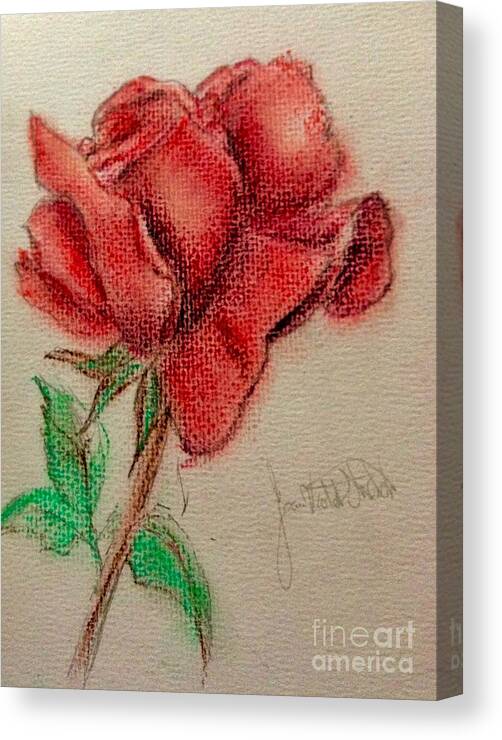 Red Rose Canvas Print featuring the pastel Portrait Of A Rose by Joan-Violet Stretch