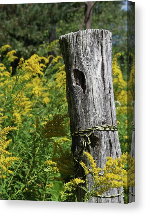 Wood Canvas Print featuring the photograph Post by Robert Och
