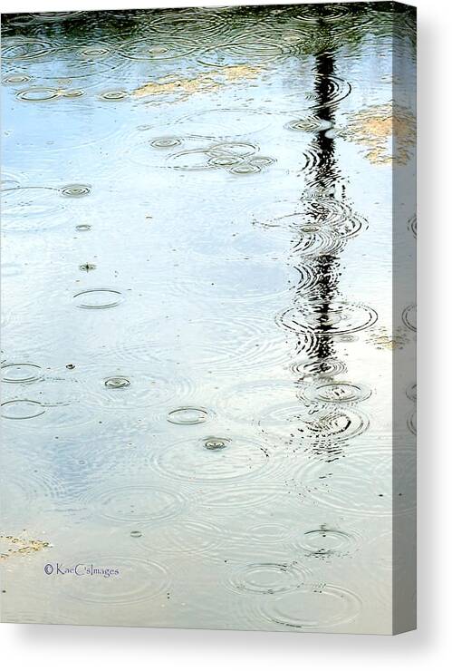 Water Canvas Print featuring the photograph Raindrop Abstract by Kae Cheatham