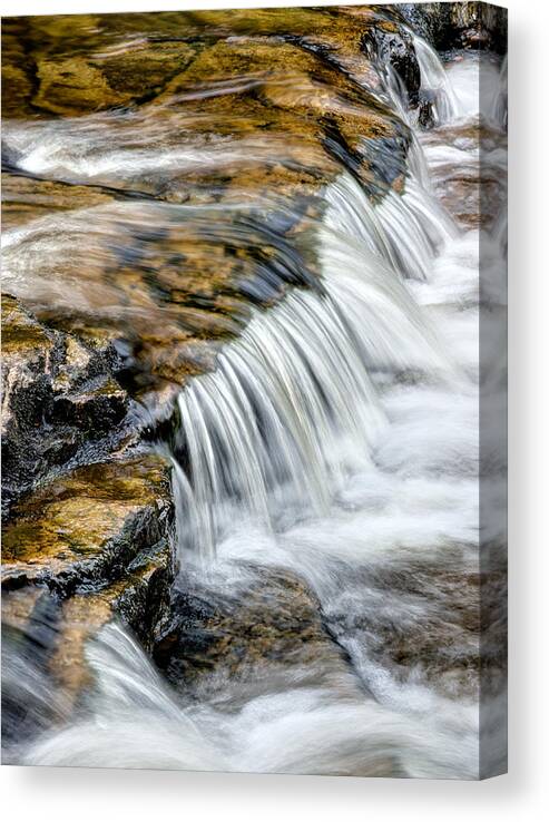 Creek Canvas Print featuring the photograph Red Creek Detail by Matt Hammerstein