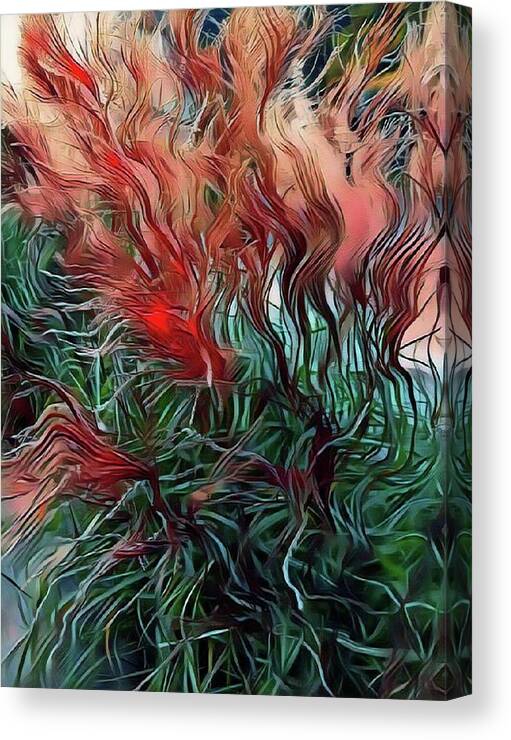 Plant Canvas Print featuring the mixed media Red grasses by Susanne Baumann