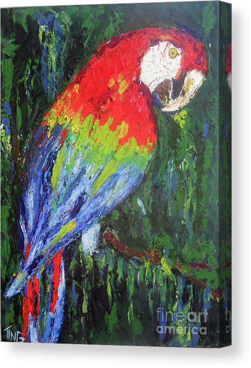 Macaw Canvas Print featuring the painting Red Macaw by Doris Blessington