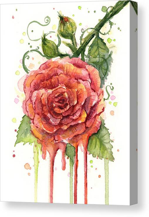 Rose Canvas Print featuring the painting Red Rose Dripping Watercolor by Olga Shvartsur