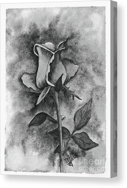 Graphite Canvas Print featuring the drawing Rose3 by Terri Mills